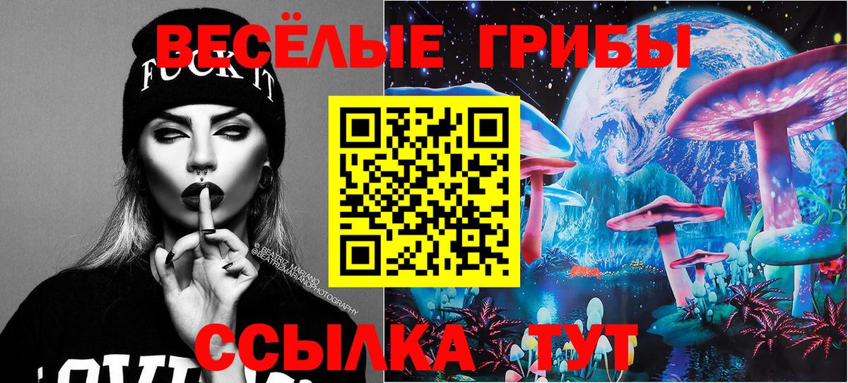 Псилоцибиновые грибы прущие грибы  Вход с VPN  Галлюциногенные грибы прущие грибы  Коммунар 