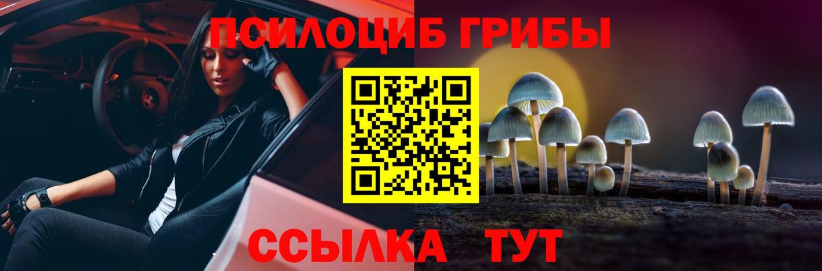 Галлюциногенные грибы Psilocybe Коммунар